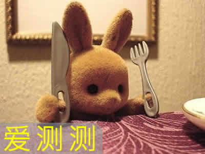 ������ĵ��������ʲô��				