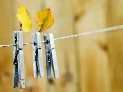 ��Ǳ��ʶ������ʧȥ�Ķ�����ʲô��				