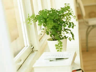 ���������������׼���ˣ�				