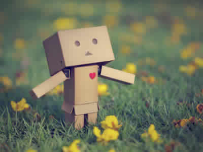 ����ʲôʱ���ܹ���������				