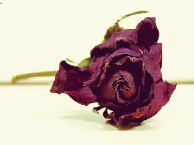 ����±������ǵ�˭��				