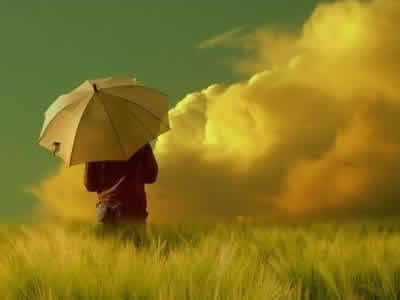 ��һ������崿�̶ȣ�				