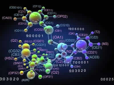 �������Ը����				