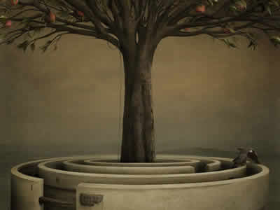 �˸���Ѳ��ԣ�				