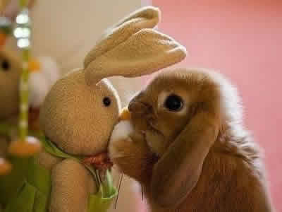 ʮ���������ó�ʲô				